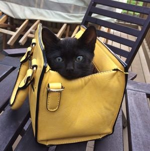 Meet your Posher, Joe